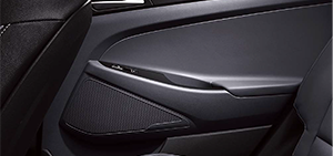 Тканинна оббивка дверей нової моделі Hyundai Tucson